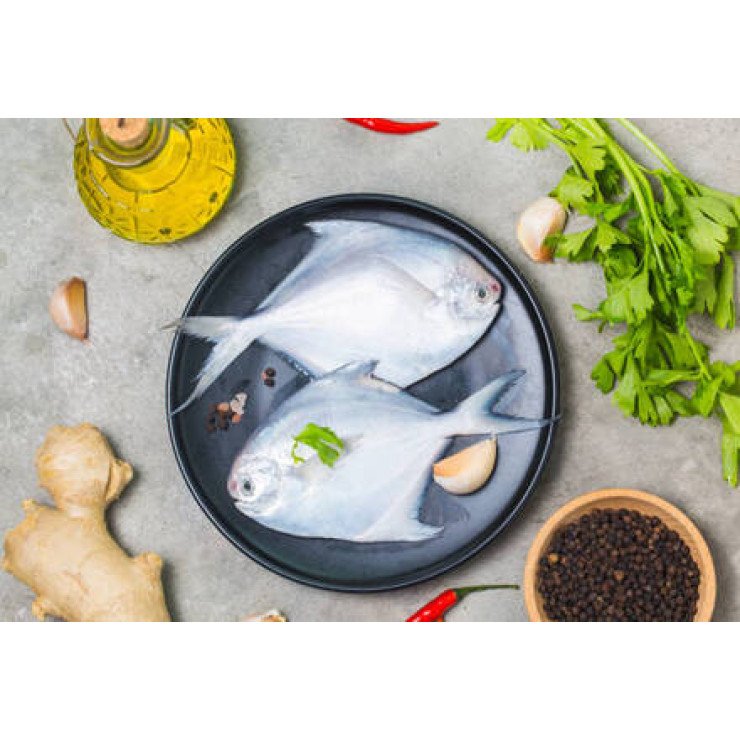Cleaned Pomfret-White Small / ആവോലി  - 400gm