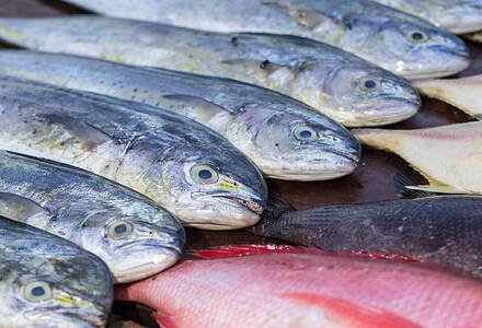 Cleaned Mahi Mahi / Pulli Motha / പുള്ളിമോദ Pcs (400gm) 