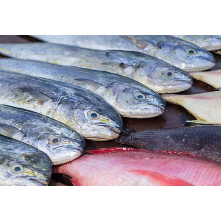 Cleaned Mahi Mahi / Pulli Motha / പുള്ളിമോദ Pcs (400gm) 