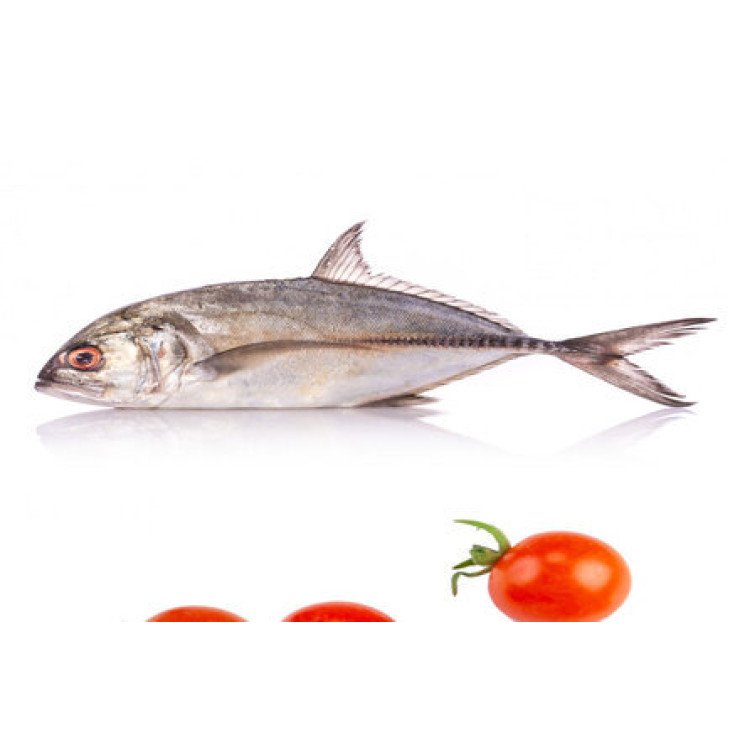 Cleaned White Fish / False Trevally / Parava / പരവ Small (400gm)