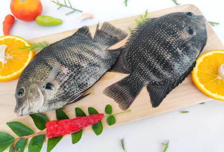 Cleaned Karimeeen Farm Medium / Pearl Spot / Green Cromide / കരിമീൻ - 350 gm