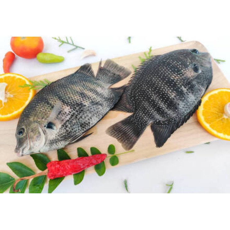 Cleaned Karimeeen Farm Medium / Pearl Spot / Green Cromide / കരിമീൻ - 350 gm