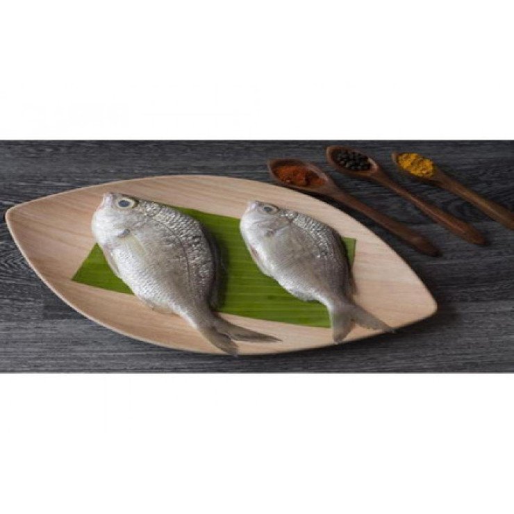 Cleaned Pranjil/ Long Rayed Silver Biddy / പ്രാഞ്ഞിൽ Large (400gm) 