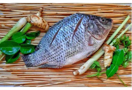 Cleaned Tilapia Small / തിലാപ്പിയ 400gm