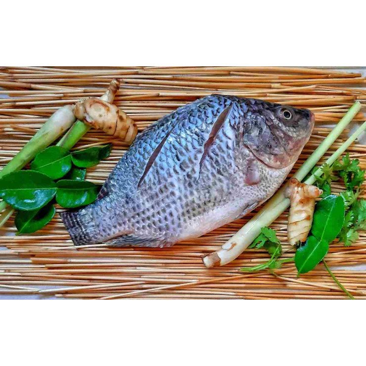 Cleaned Tilapia Small / തിലാപ്പിയ 400gm
