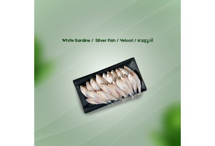 White Sardine/Veloori/Silver Fish/ വേളൂരി-Not Cleaned(500gm)