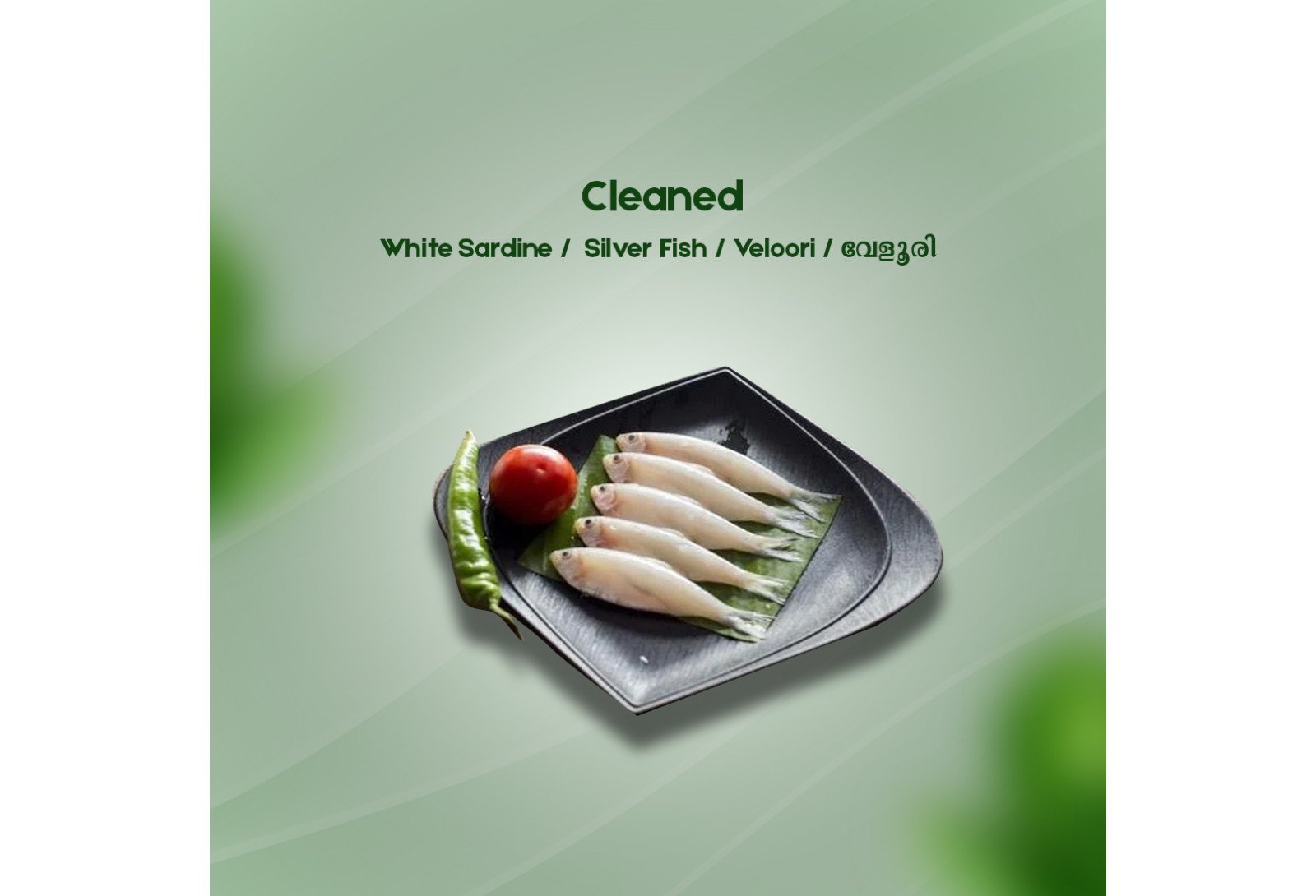 Cleaned White Sardine/Veloori/Silver Fish/ വേളൂരി(350gm)