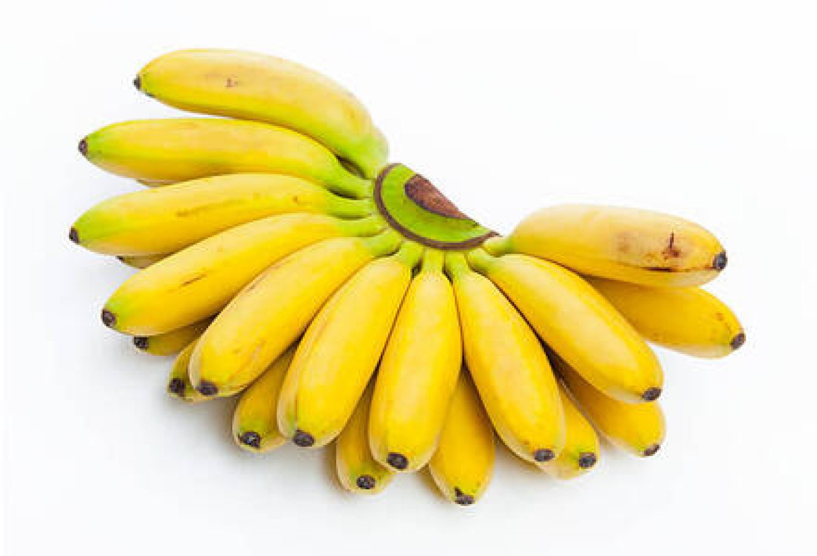 Njalipovan / ഞാലിപൂവൻ / banana - 500gm