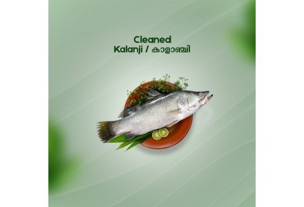 Cleaned Kalanji  / Asian Sea Bass / കാളാഞ്ചി - (350gm )