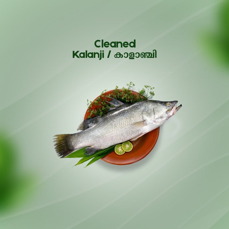 Cleaned Kalanji  / Asian Sea Bass / കാളാഞ്ചി - (350gm )
