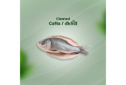 Cleaned  Catla Fish / Katla Fish (Bengal Carp)/കട്‌ല- (400gm)