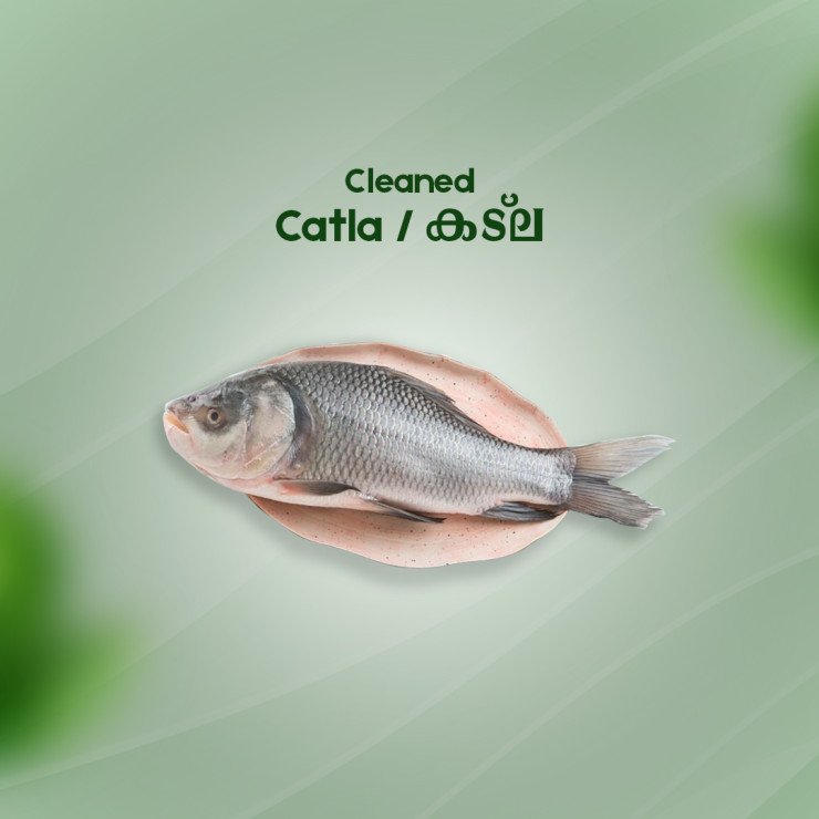 Cleaned  Catla Fish / Katla Fish (Bengal Carp)/കട്‌ല- (400gm)