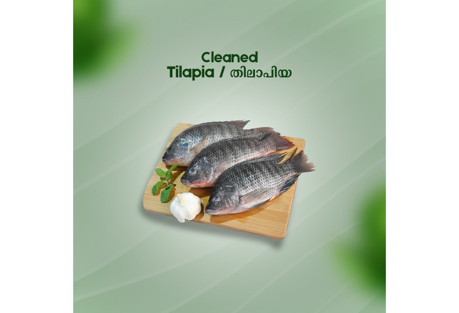 Cleaned Tilapia Large / തിലാപ്പിയ 400gm
