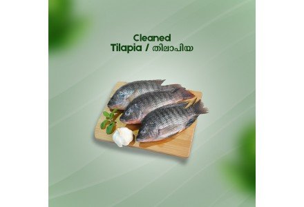 Cleaned Tilapia Large / തിലാപ്പിയ 400gm