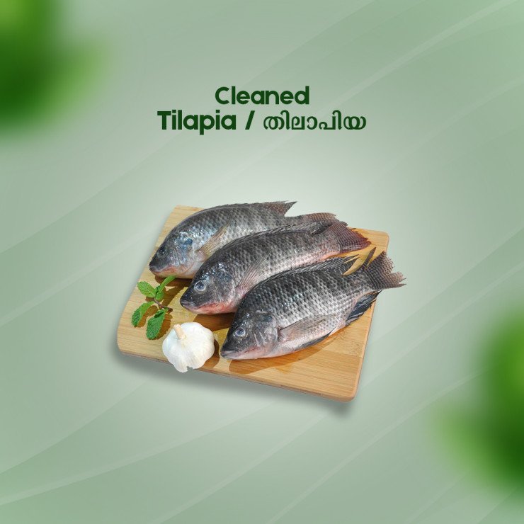 Cleaned Tilapia Large / തിലാപ്പിയ 400gm