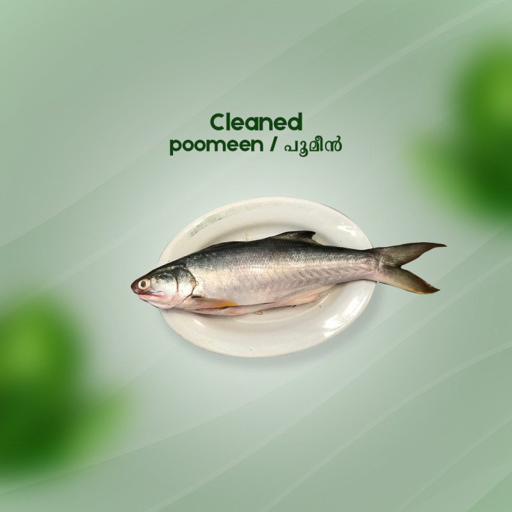 Cleaned Poomeen / Milk fish/പൂമീൻ Pcs - (400gm)