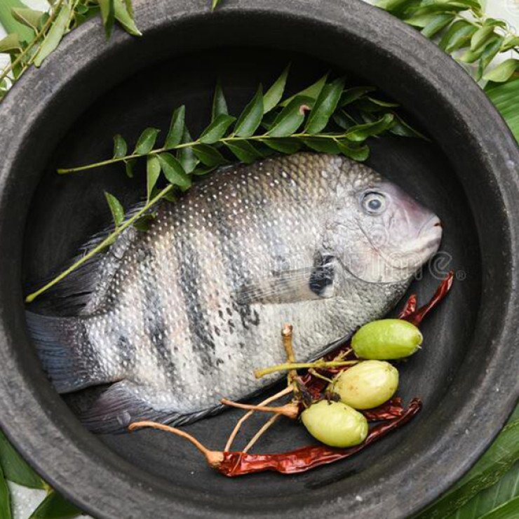 Cleaned Nadan Karimeen Medium / Pearl Spot / Green Cromide / കരിമീൻ - 350 gm