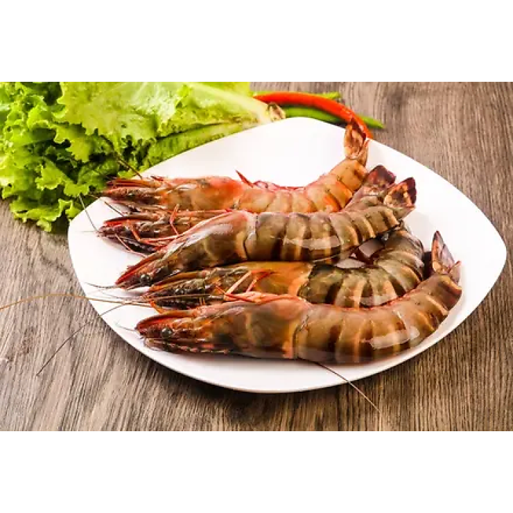 Whole Tiger Prawns - Not Cleaned (500 gm)