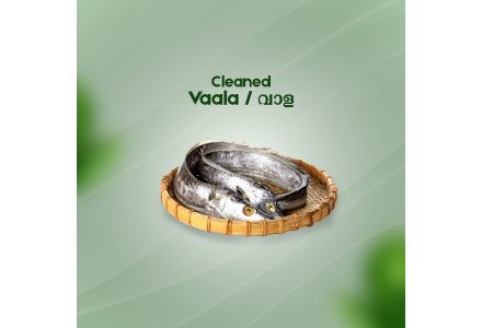 Cleaned Pampada/ Belt fish / വാള - 400gm
