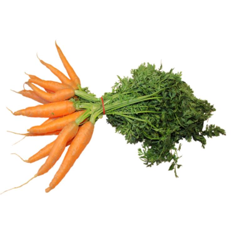 Carrot / ക്യാരറ്റ് - 250gm Pack (Ozone Washed)