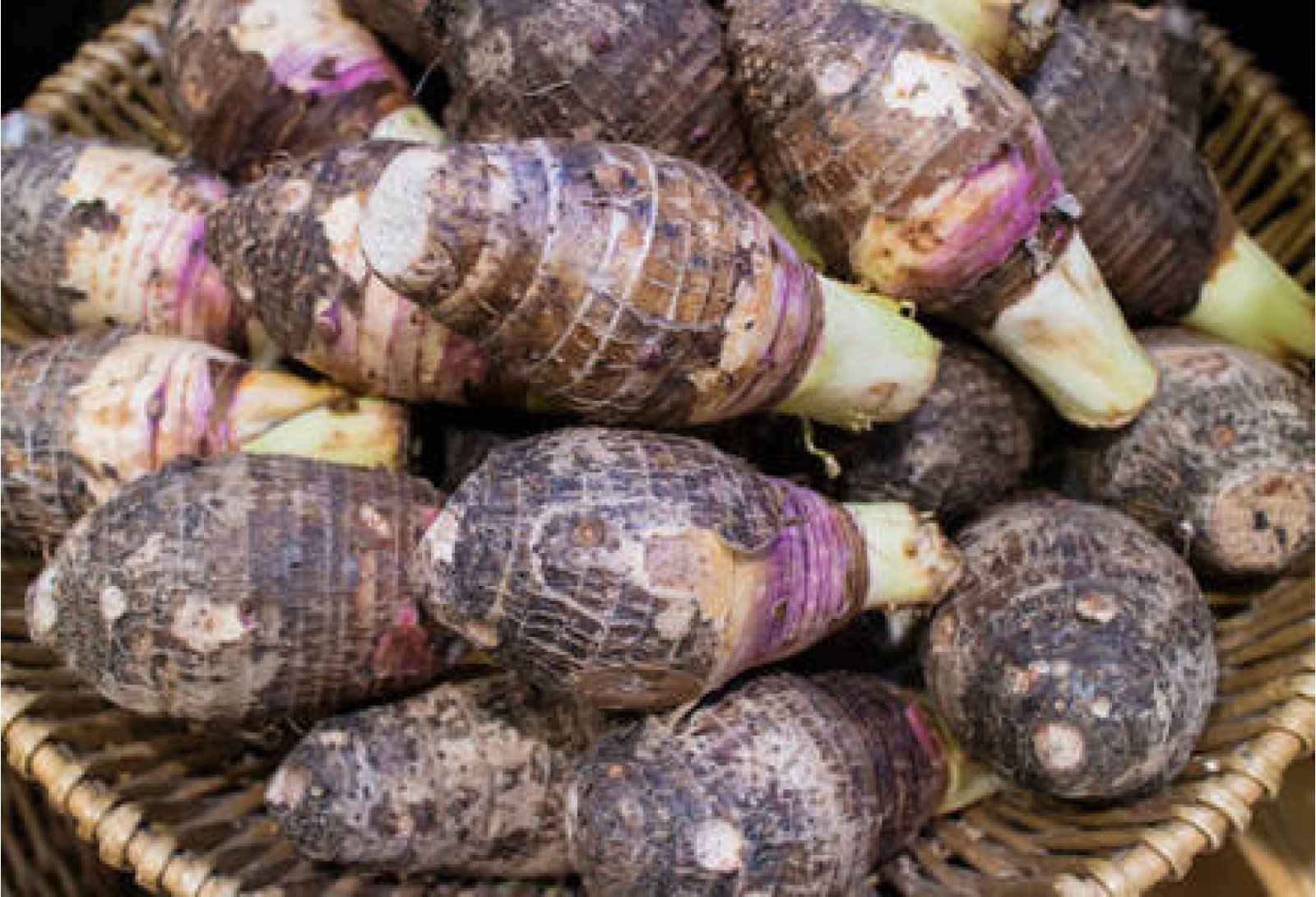 Chembu / Taro / ചേമ്പ് -250gm