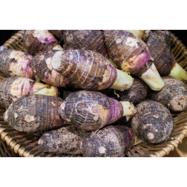 Chembu / Taro / ചേമ്പ് -250gm