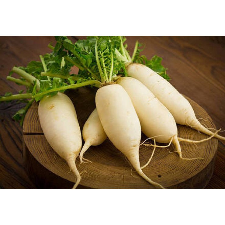Radish White / റാഡിഷ് വൈറ്റ് - 500.00 gm 