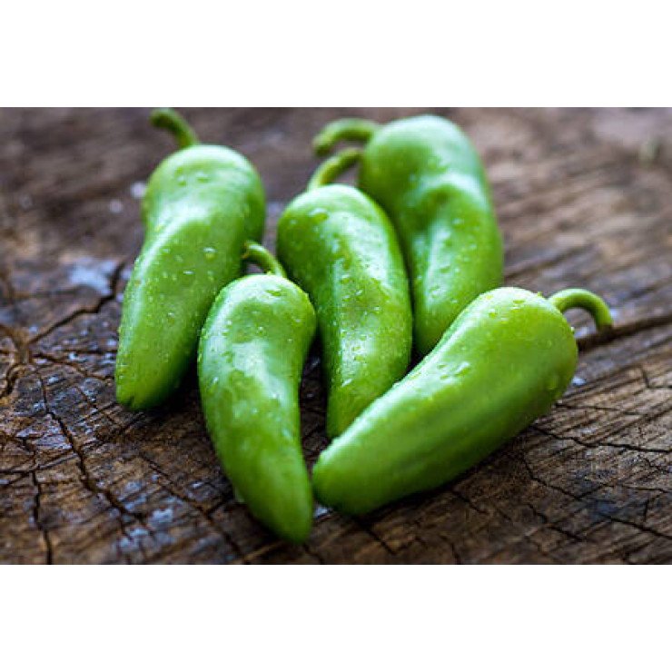 Unda Mulak / Habanero / ഉണ്ട മുളക് - 100gm Pack ( Ozone Washed)